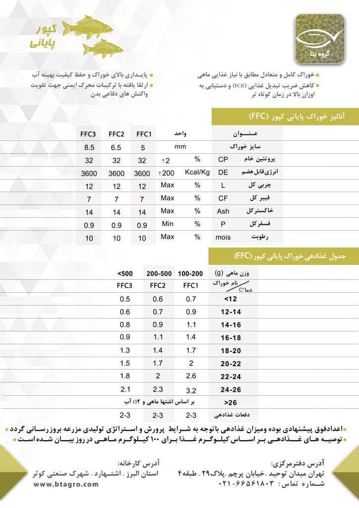 خوراک پایانی کپور