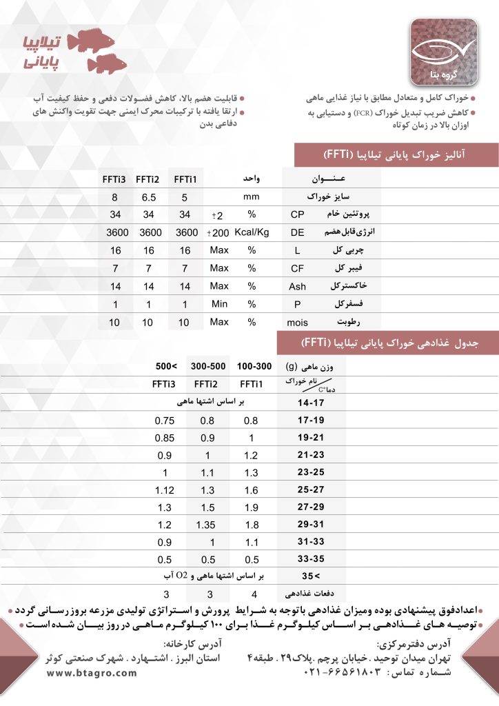 خوراک پایانی تیلاپیا