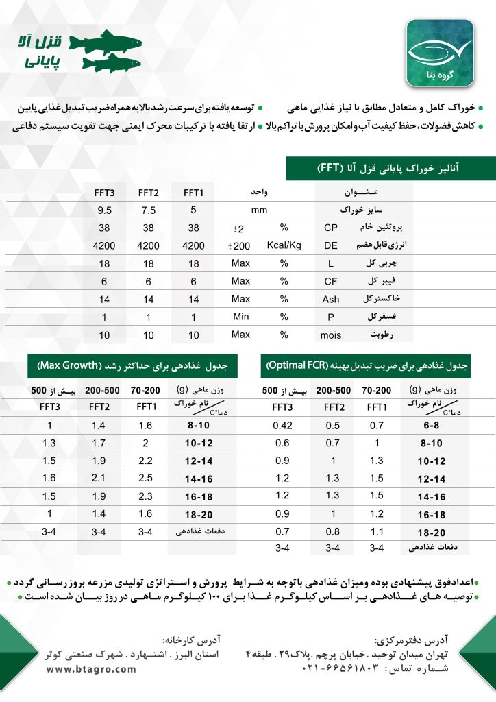 خوراک پایانی قزل آلا