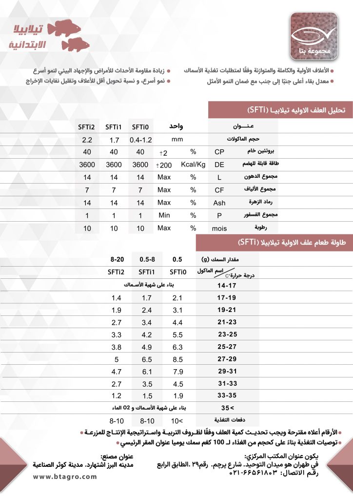 تیلابیا الابتدائیه