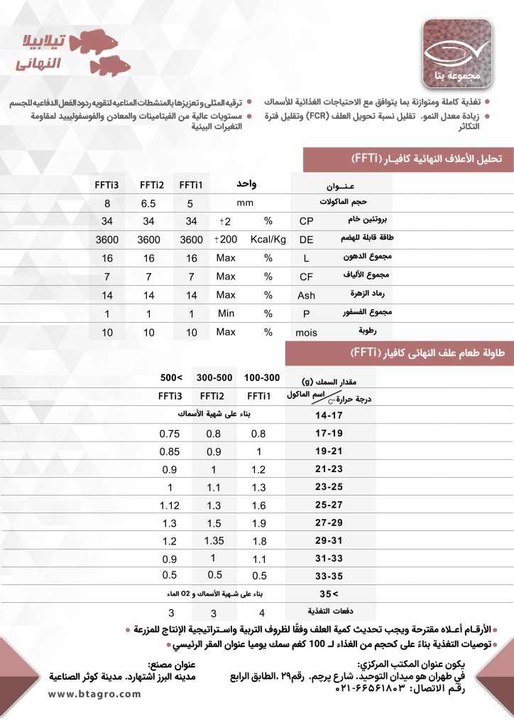 تیلابیا النهائی
