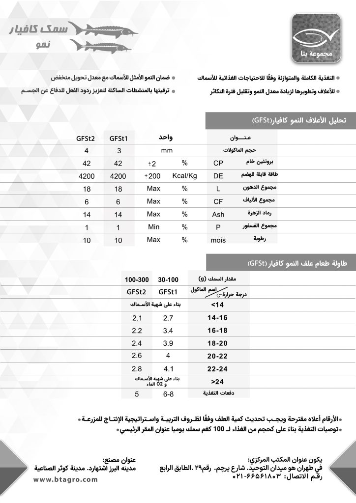 سمك الحفش نمو