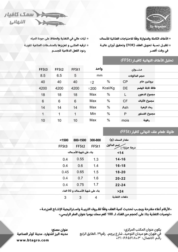 سمك الحفش النهائی