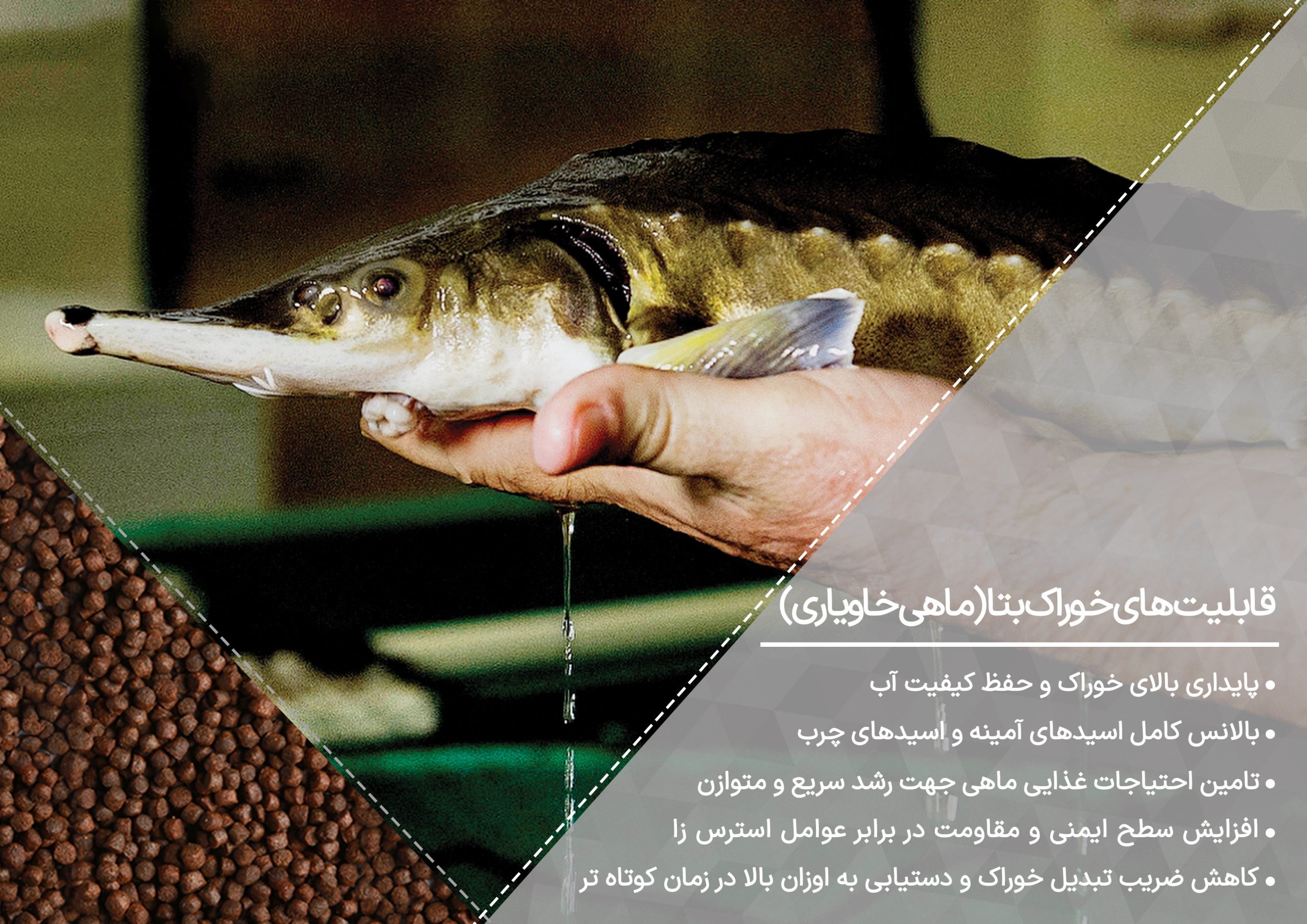 خوراک خاویاری