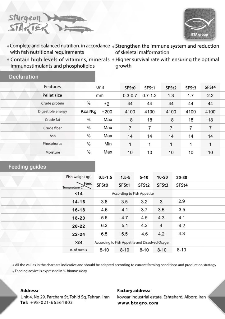 Sturgeon Starter BTA feed
