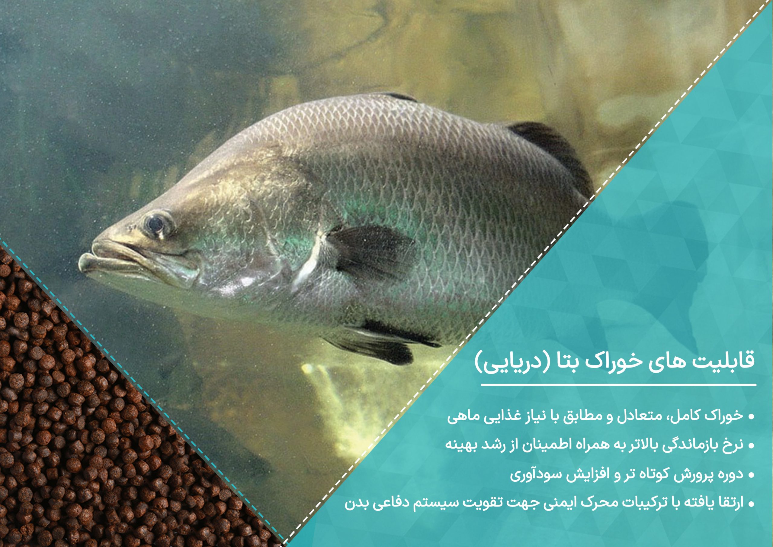 خوراک ماهیان دریایی