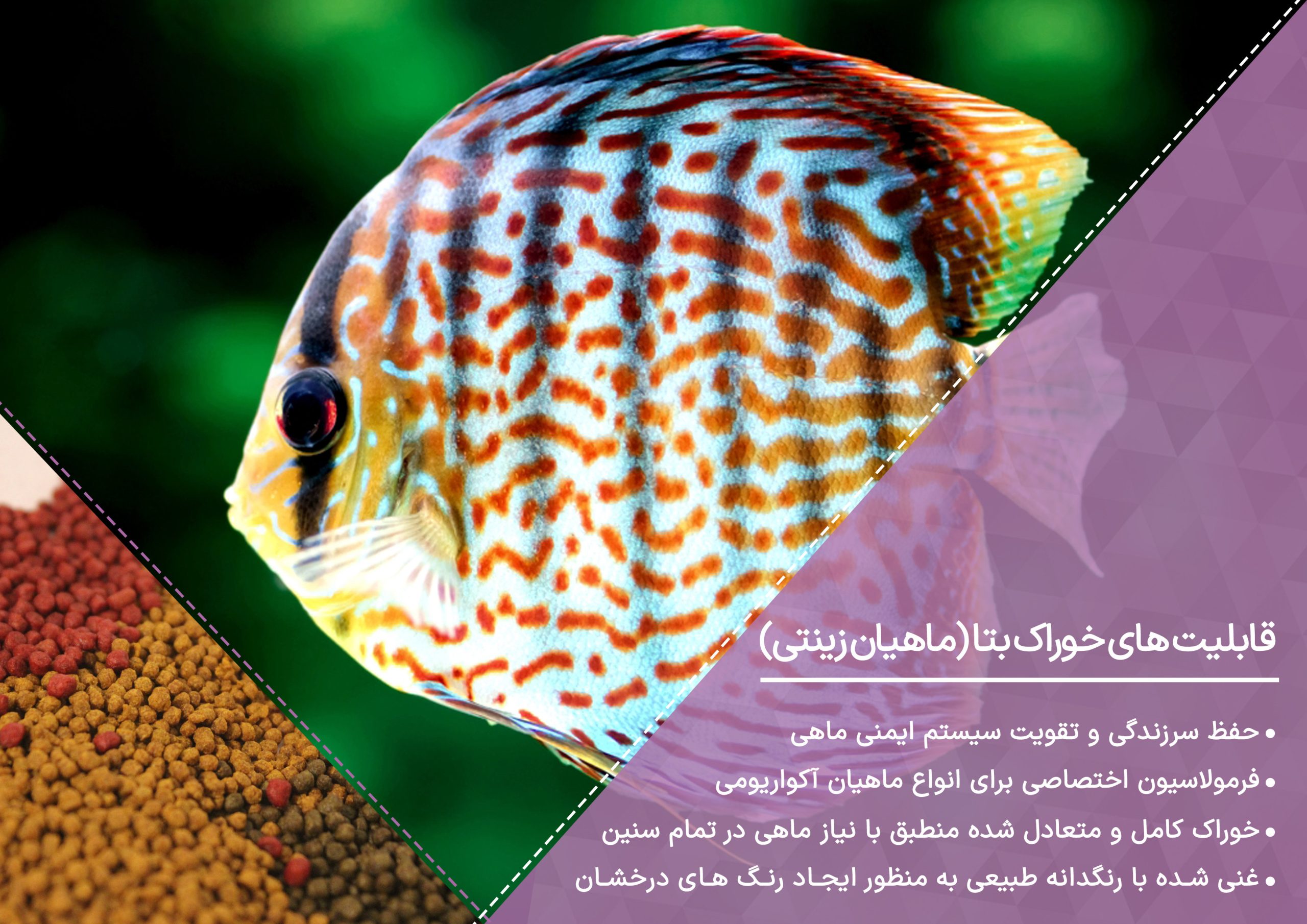 خوراک ماهیان زینتی