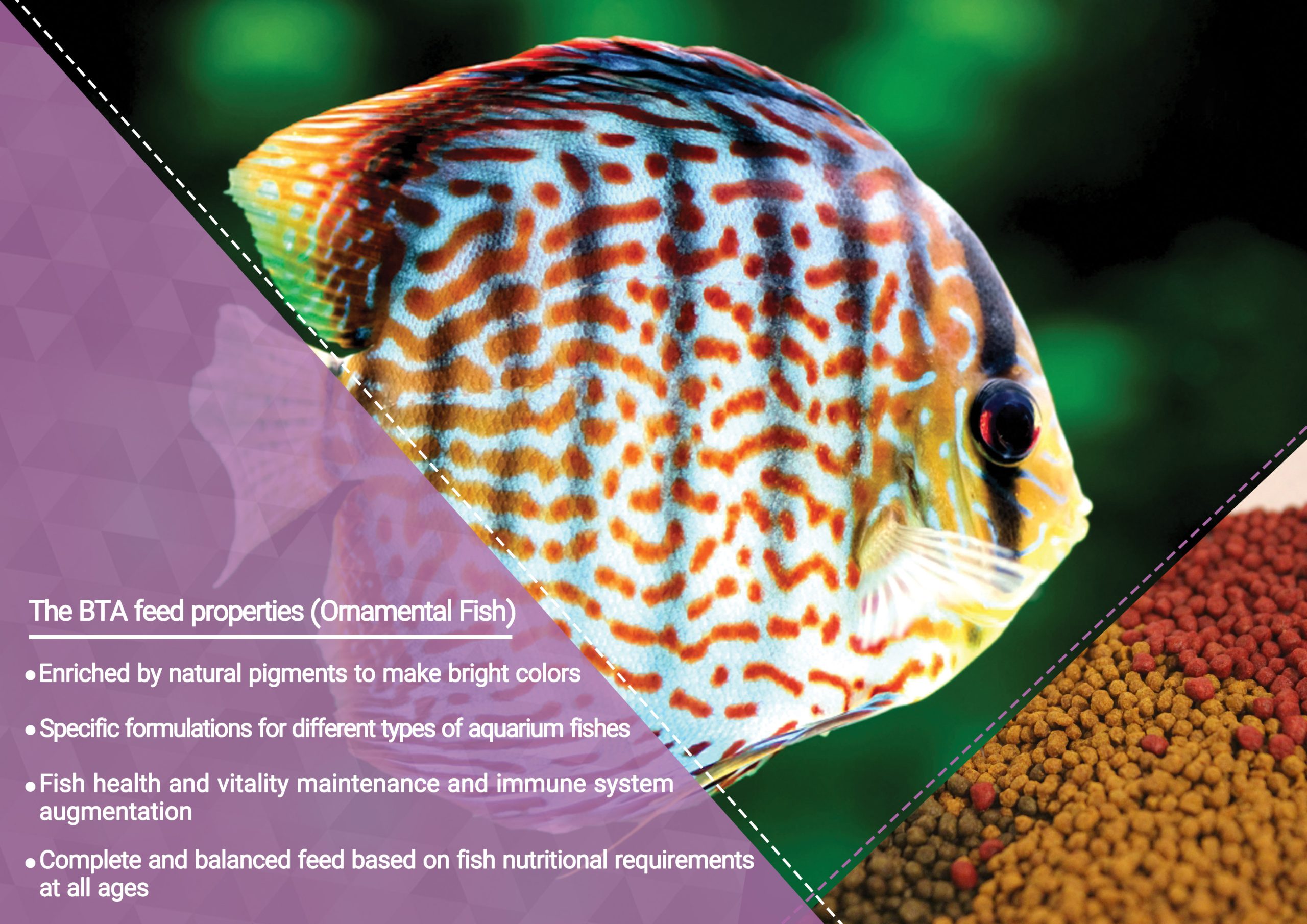 Ornamental BTA feed
