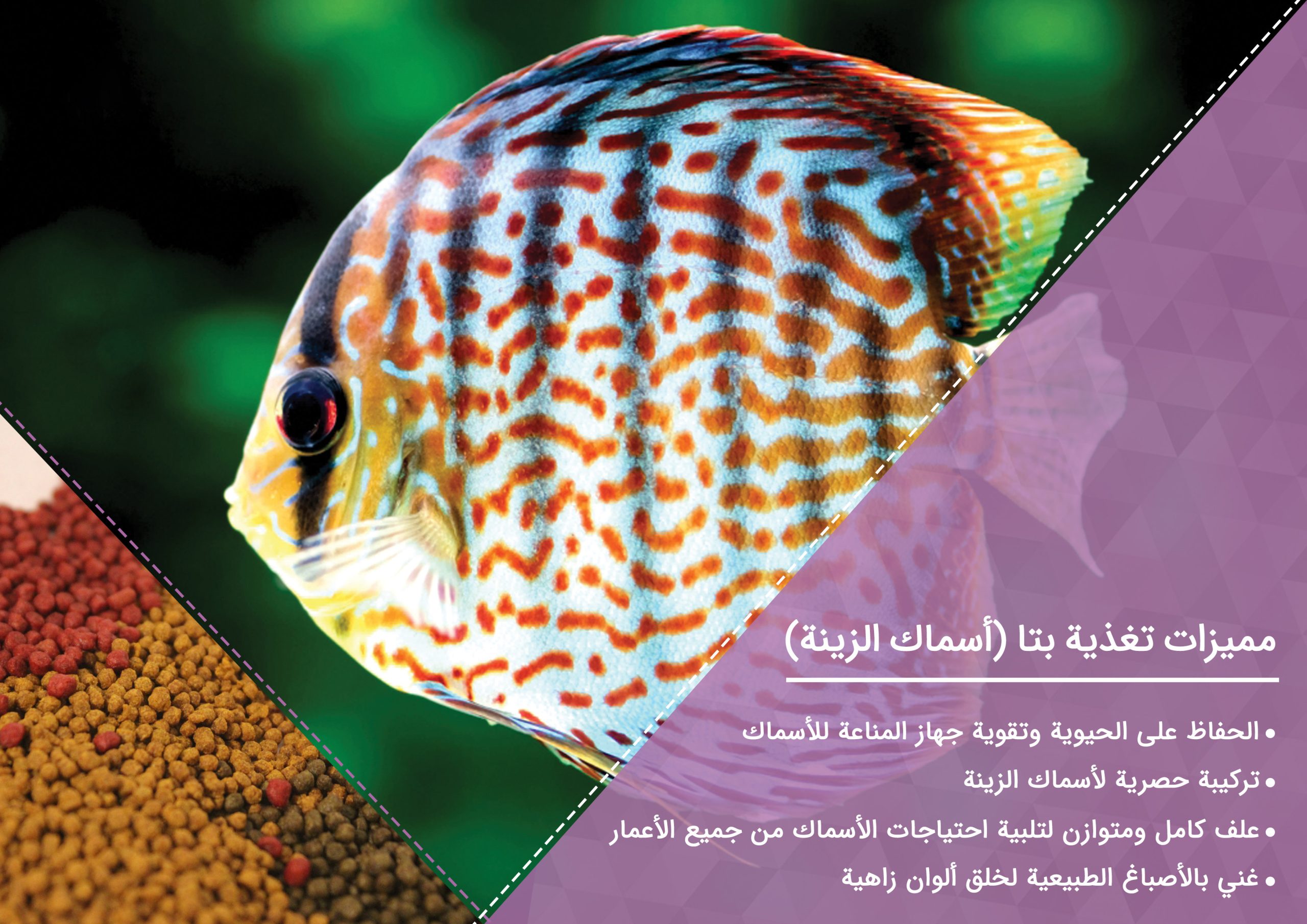اسماک الزینه