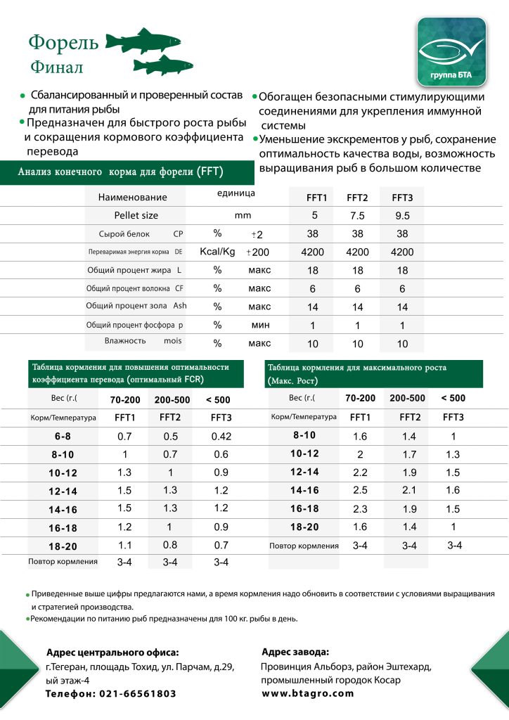 форели