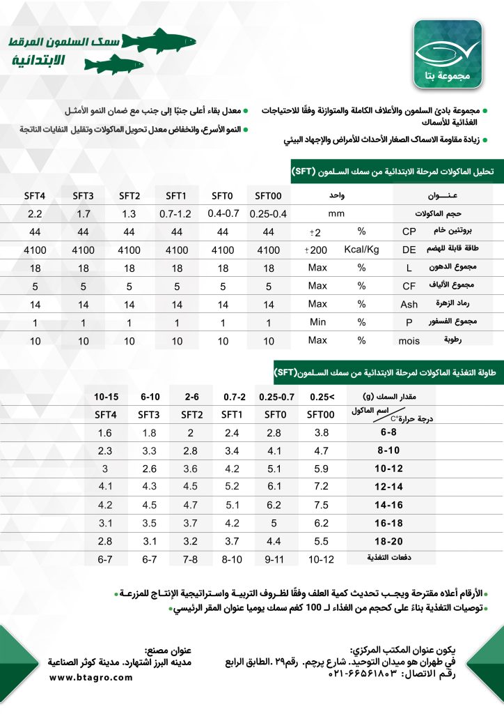سمک السلمون المرقط الابتدائیه