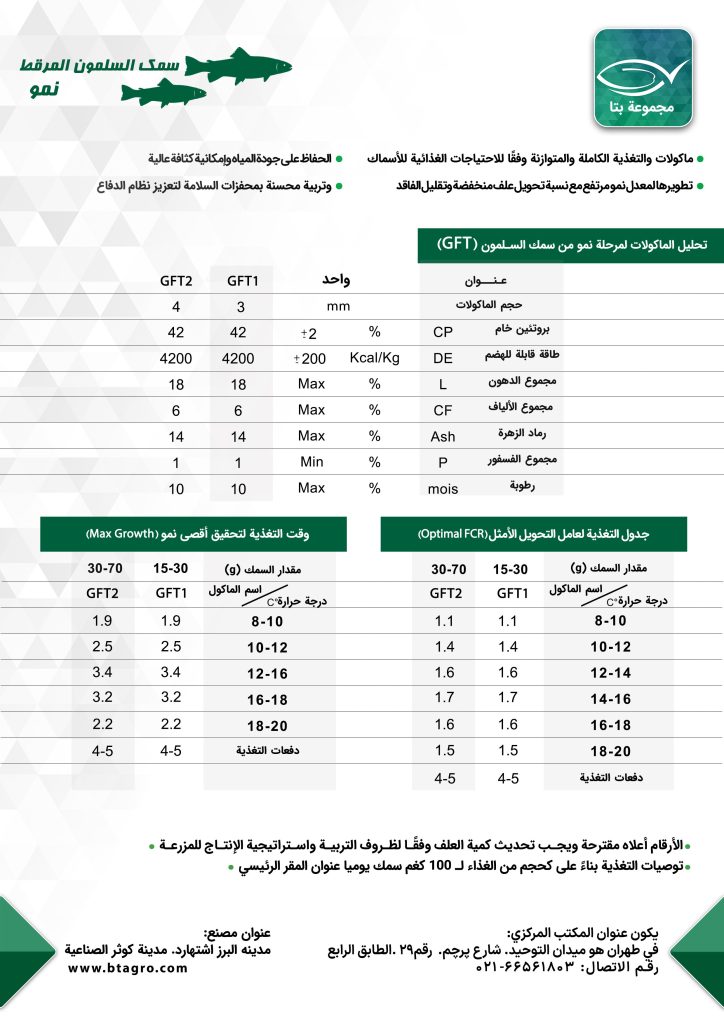 سمک السلمون المرقط نمو