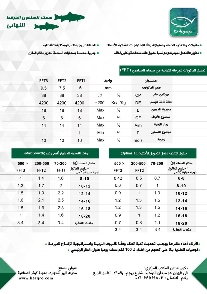 سمک السلمون المرقط النهائی