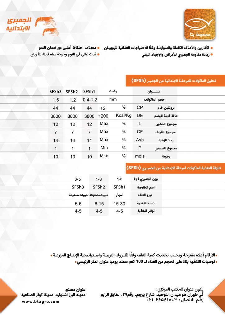 الجمبری الابتدائیه