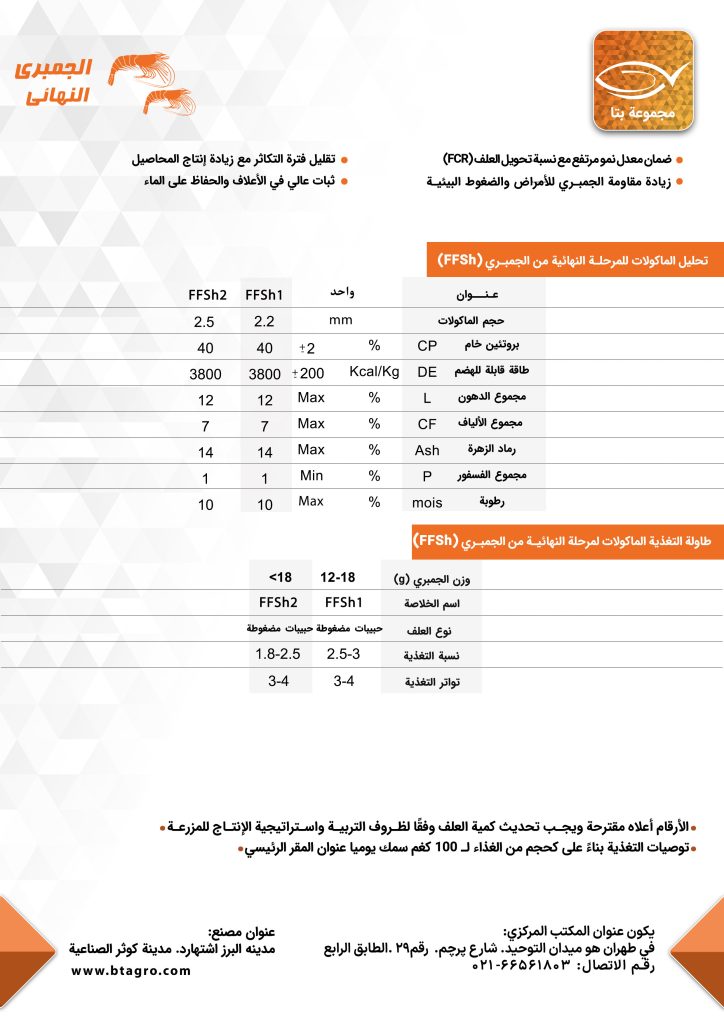 الجمبری النهائیه