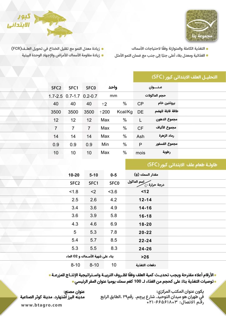 کبور الابتدائی