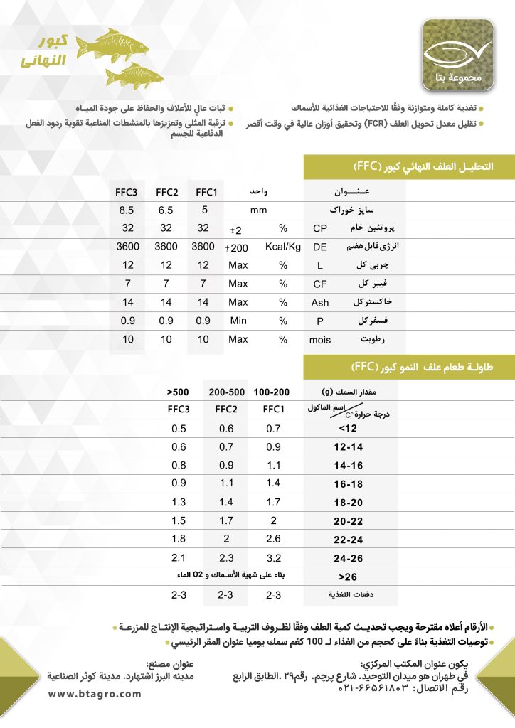 کبور النهائی