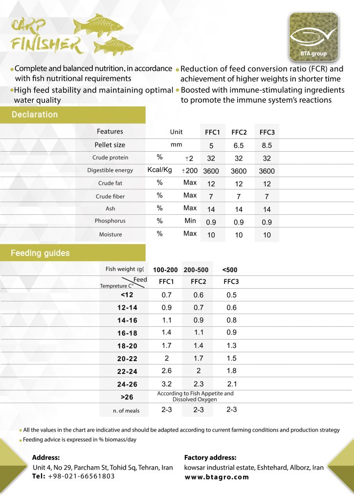 Carp Finisher BTA feed