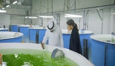 آبزی‌پروری-امارات