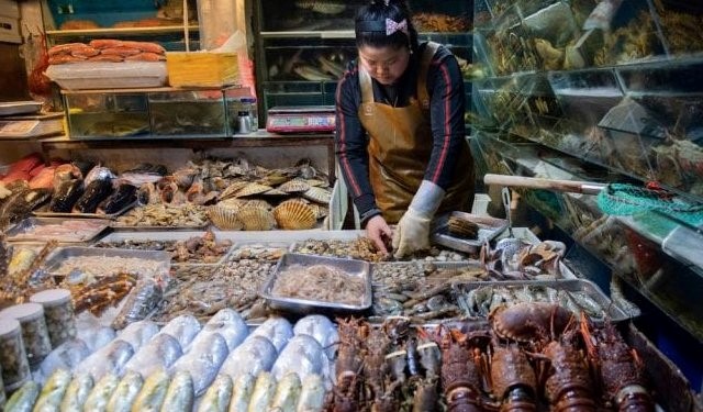 قیمت ماهی در چین 2022
