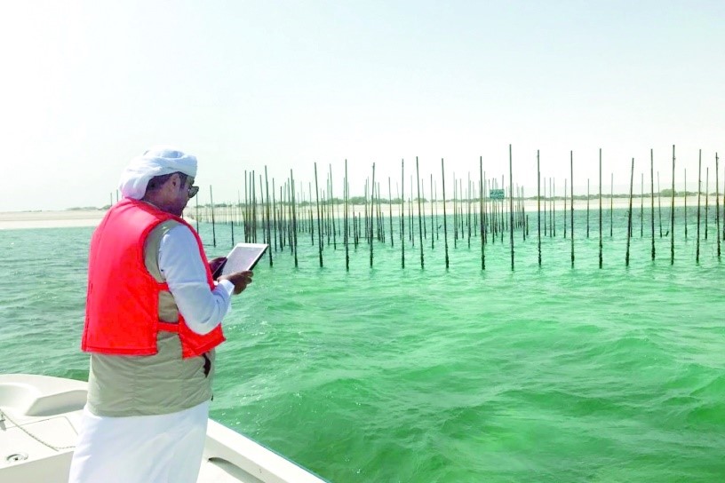 افزایش ذخایر ماهی در ابوظبی